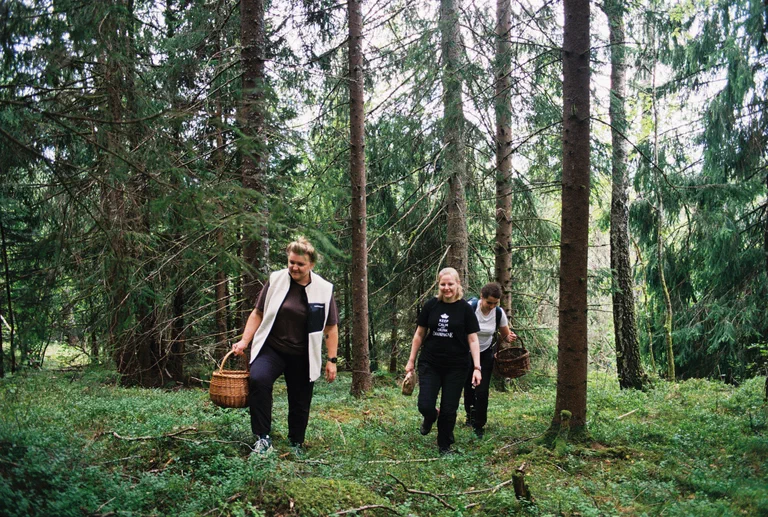 Vi tre går gjennom granskogen med kurver, ute på sanketur.
